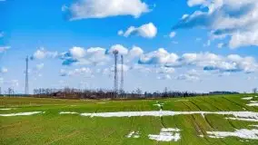 Szukamy wiosny - znajdujemy pierwsze oznaki - zdjęcie 19