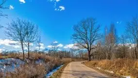 Szukamy wiosny - znajdujemy pierwsze oznaki - zdjęcie 22