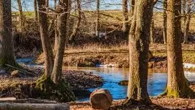 Szukamy wiosny - znajdujemy pierwsze oznaki - zdjęcie 36