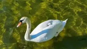 Jak nasz region widzą obcokrajowcy? - zobacz zdjęcia Johna Whelana - zdjęcie 15