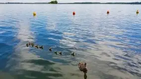 Jak nasz region widzą obcokrajowcy? - zobacz zdjęcia Johna Whelana - zdjęcie 45