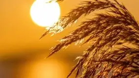 Przedwiosenny zachód słońca nad jeziorem Gołdopiwo i Żabiniec - zdjęcie 36