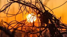 Przedwiosenny zachód słońca nad jeziorem Gołdopiwo i Żabiniec - zdjęcie 51