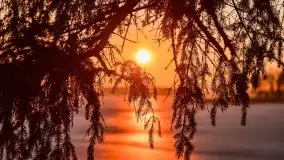 Przedwiosenny zachód słońca nad jeziorem Gołdopiwo i Żabiniec - zdjęcie 44