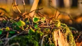 Przedwiosenny zachód słońca nad jeziorem Gołdopiwo i Żabiniec - zdjęcie 46