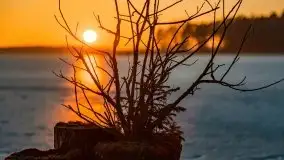 Przedwiosenny zachód słońca nad jeziorem Gołdopiwo i Żabiniec - zdjęcie 66