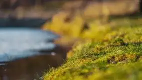 Marcowy zachód słońca nad jeziorem Dejguny - zdjęcie 10