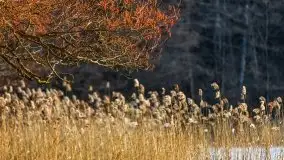 Marcowy zachód słońca nad jeziorem Dejguny - zdjęcie 18