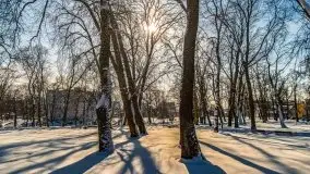 Zimowe Giżycko, luty 2021 - zdjęcie 11