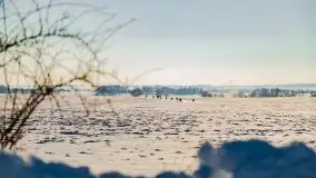 Zimowa sceneria okolic Kętrzyna, luty 2021 - zdjęcie 38