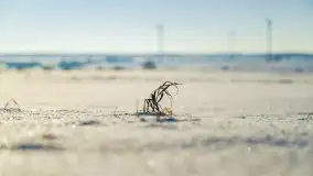 Zimowa sceneria okolic Kętrzyna, luty 2021 - zdjęcie 32