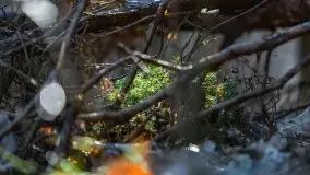 Przedwiośnie w lasach przy Wilkasach, marzec 2021 - zdjęcie 6