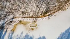 Las miejski w Giżycku, zimowa odsłona, luty 2021 r. - zdjęcie 17