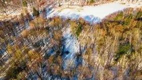 Las miejski w Giżycku, zimowa odsłona, luty 2021 r. - zdjęcie 26