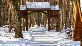 Las miejski w Giżycku, zimowa odsłona, luty 2021 r. - zdjęcie 40