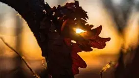 Marcowy zachód słońca nad jeziorem Kisajno - zdjęcie 7