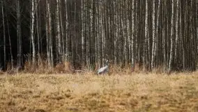 Mazury u progu wiosny, ujęcia z różnych miejsc - zdjęcie 29