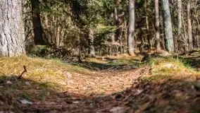 Mazury u progu wiosny, ujęcia z różnych miejsc - zdjęcie 36