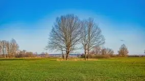 Mazury u progu wiosny, ujęcia z różnych miejsc - zdjęcie 61