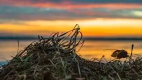 Za takie wschody słońca kochamy Mazury - zdjęcie 16