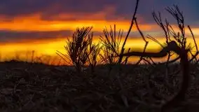 Za takie wschody słońca kochamy Mazury - zdjęcie 42