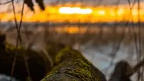 Za takie wschody słońca kochamy Mazury - zdjęcie 57