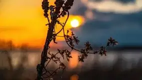 Jeszcze więcej magii Mazur - zachód nad jeziorem Święcajty - zdjęcie 37