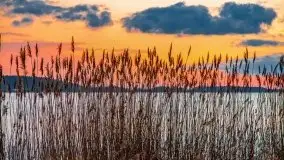 Jeszcze więcej magii Mazur - zachód nad jeziorem Święcajty - zdjęcie 69