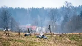 Miłośnicy Mazur - przedwiośnie na zdjęciach Staszka Sielewicza - zdjęcie 10