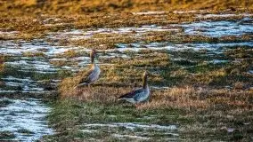 Miłośnicy Mazur - przedwiośnie na zdjęciach Staszka Sielewicza - zdjęcie 18