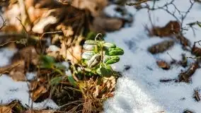Przedwiośnie 2021 nad jeziorem Białym - zdjęcie 18