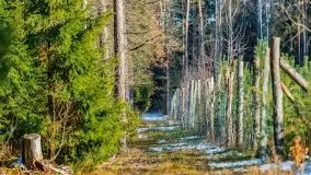 Przedwiośnie 2021 nad jeziorem Białym - zdjęcie 60