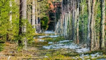 Przedwiośnie 2021 nad jeziorem Białym