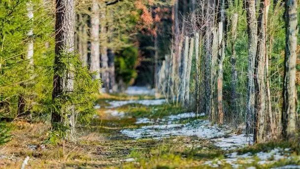 Przedwiośnie 2021 nad jeziorem Białym - zdjęcie 1