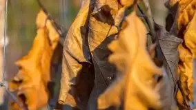 Przedwiośnie 2021 nad jeziorem Białym - zdjęcie 40