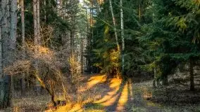 Efekt halo - zachód słońca nad jeziorem Dargin - zdjęcie 22