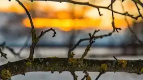 Ostatni zimowy zachód słońca, jezioro Niegocin 03.2021 - zdjęcie 7