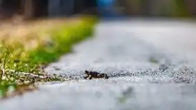 Wiosna w rezerwacie przyrody Borki, marzec 2021 - zdjęcie 16