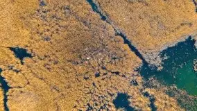 Zachód słońca nad jeziorem Gołdopiwo, od strony Przerwanek - zdjęcie 6