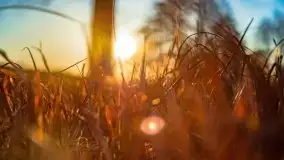 Przeprawa na Mazury, rzeki Narew i Pisa - zdjęcie 80