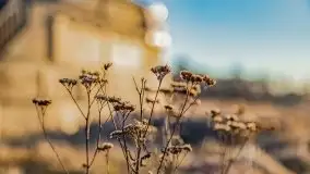 Przeprawa na Mazury, rzeki Narew i Pisa - zdjęcie 83