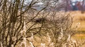 Przeprawa na Mazury, rzeki Narew i Pisa - zdjęcie 85