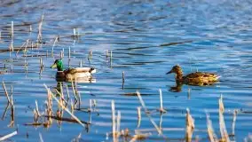 Narodziny nowego dnia w Wydminach, kwiecień 2021 - zdjęcie 42