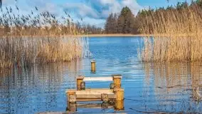 Narodziny nowego dnia w Wydminach, kwiecień 2021 - zdjęcie 55