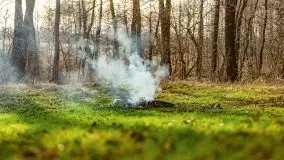 Wiosenny las przy jeziorze Gołdopiwo - zdjęcie 15