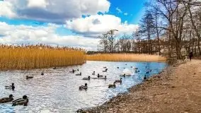 Szukaliśmy oznak wiosny w Olecku - zdjęcie 53