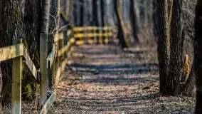 Śluza Karwik na początku wiosny 2021 - zdjęcie 28