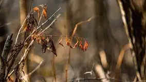 Śluza Karwik na początku wiosny 2021 - zdjęcie 19