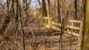 Śluza Karwik na początku wiosny 2021 - zdjęcie 3