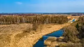 Przedwiośnie przy rzece Białoławka, marzec 2021 - zdjęcie 2